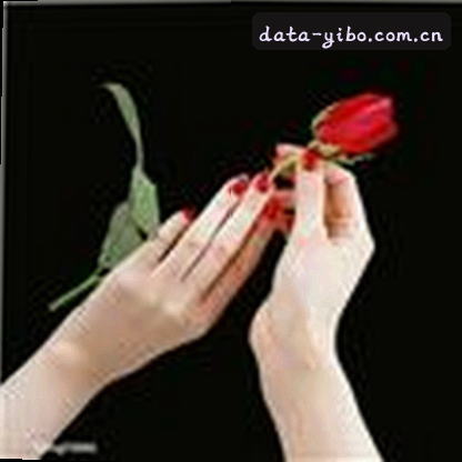 吴婷